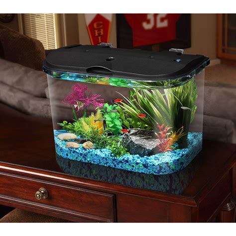 tall 5 gallon fish tank|5 gallon vertical fish tank.